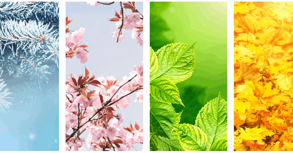 four panel view showing a picture for each season